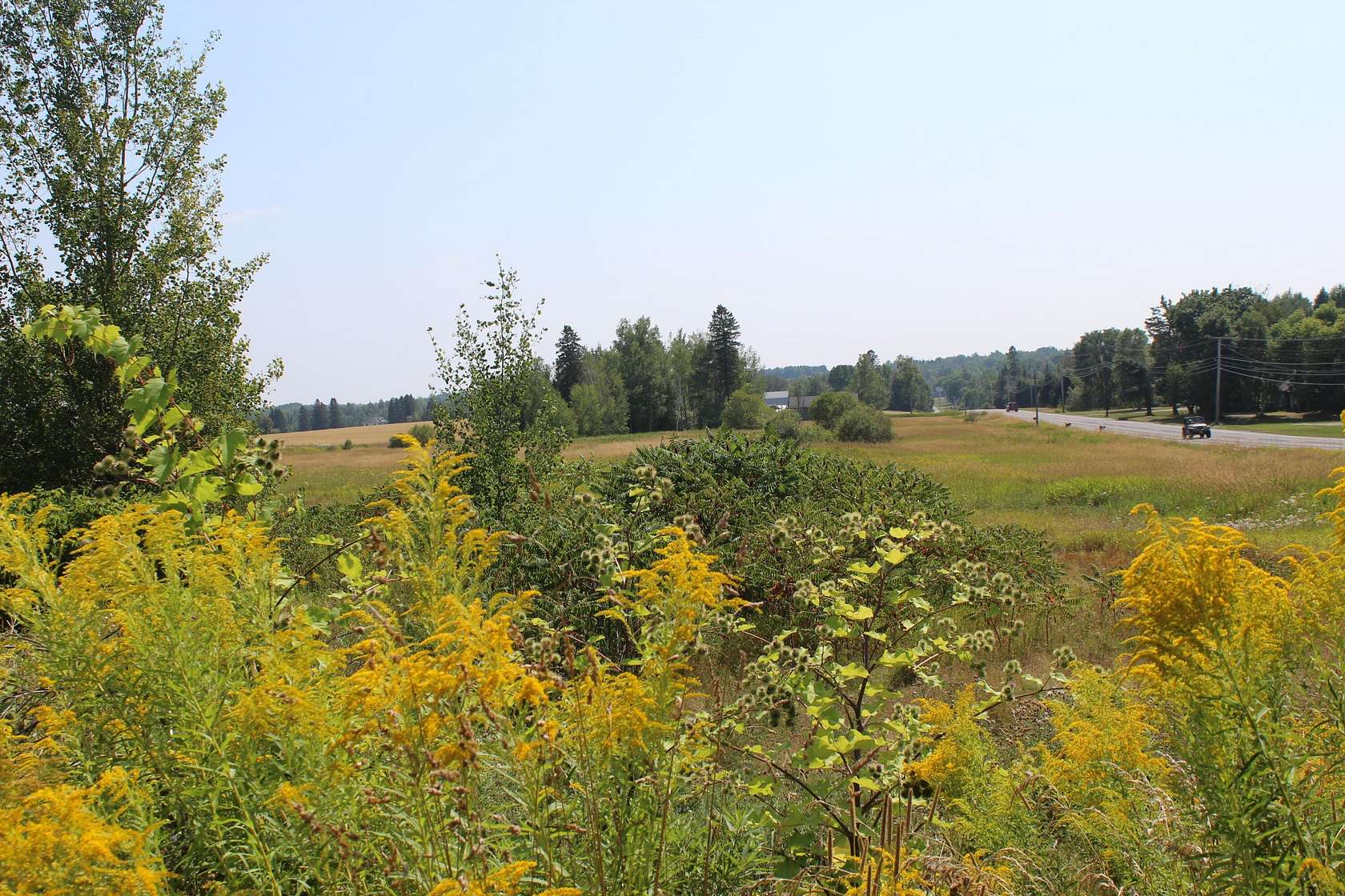 6.6 Acres of Land for Sale in Littleton, Maine