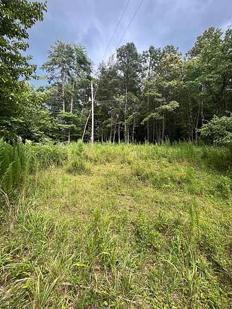 10.7 Acres of Land for Sale in Mineral Bluff, Georgia