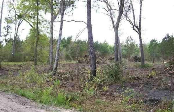 15 Acres of Land for Sale in Monticello, Florida