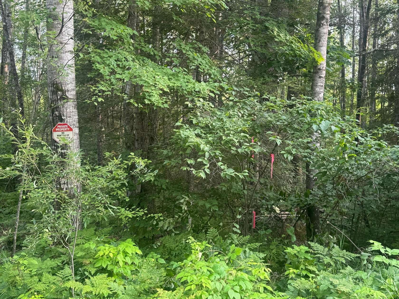 3 Acres of Residential Land for Sale in Crandon, Wisconsin