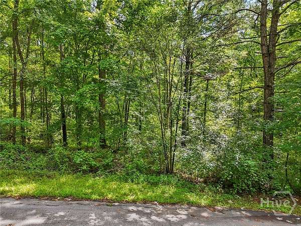 0.91 Acres of Residential Land for Sale in Greensboro, Georgia