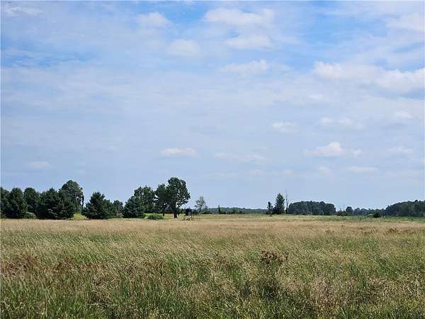 25.8 Acres of Recreational Land for Sale in Tony, Wisconsin