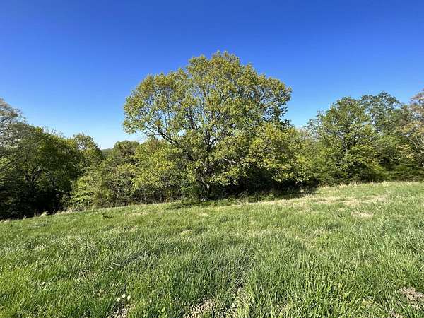 0.43 Acres of Land for Sale in Hollister, Missouri