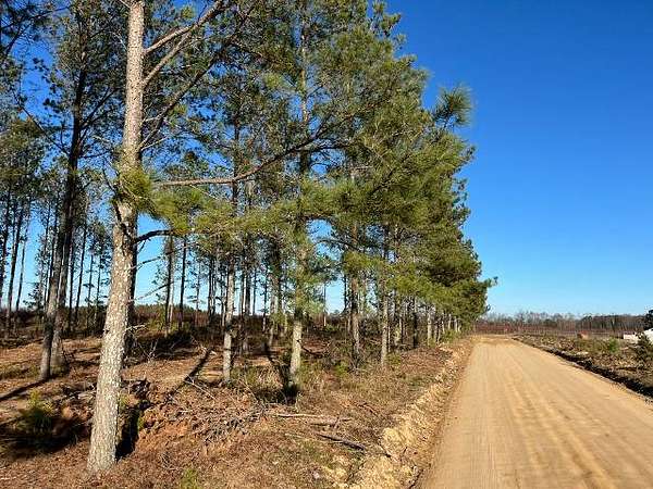 167 Acres of Recreational Land & Farm for Sale in Saluda, South Carolina