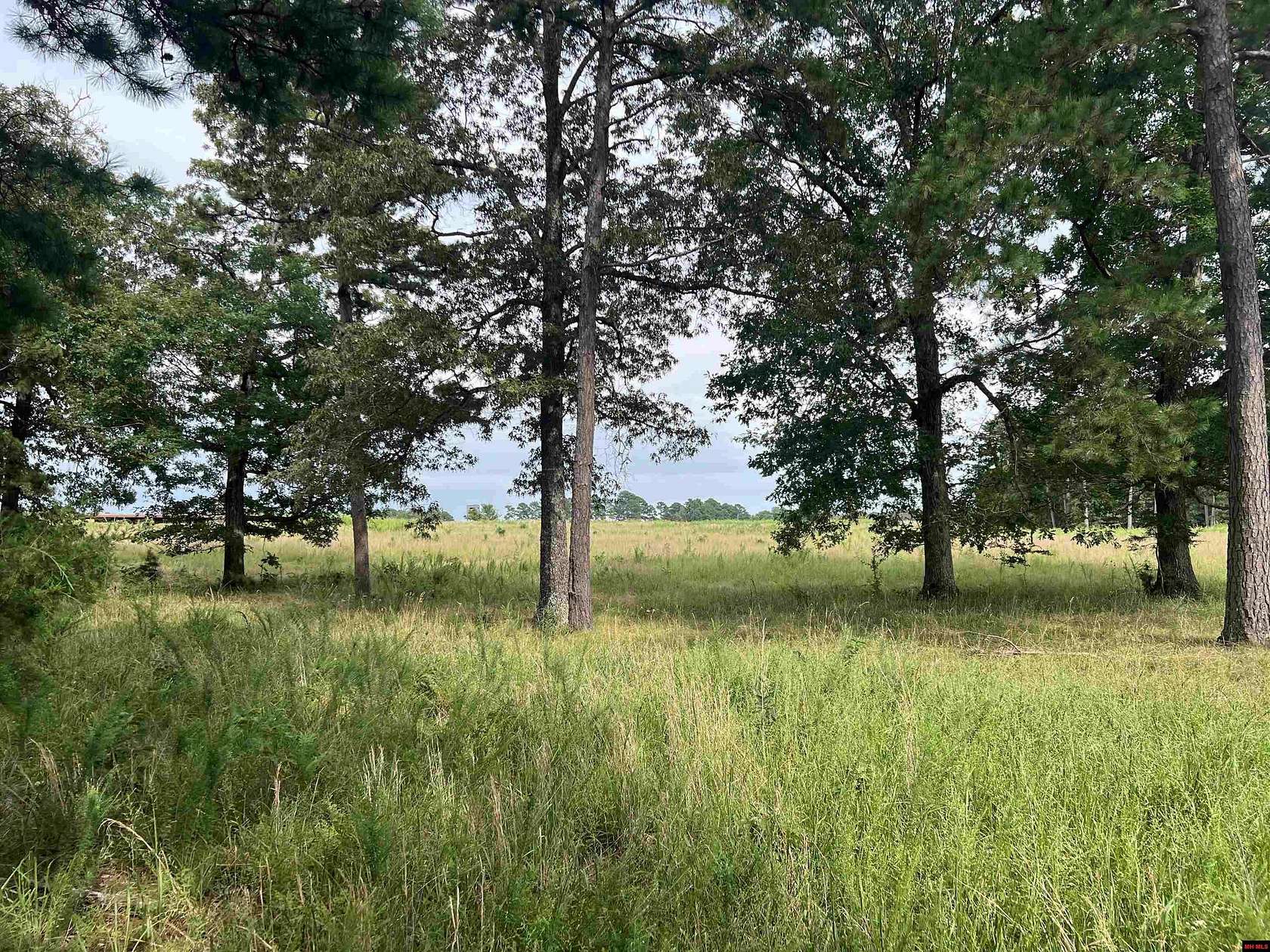 80 Acres of Land for Sale in Yellville, Arkansas