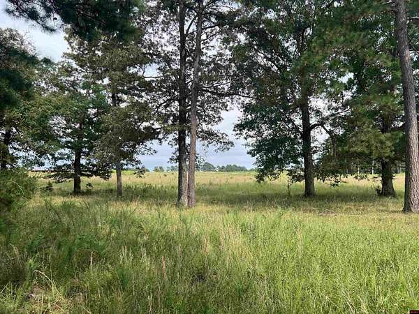 80 Acres of Land for Sale in Yellville, Arkansas