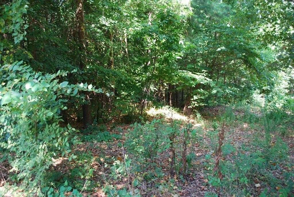 0.36 Acres of Residential Land for Sale in Bella Vista, Arkansas