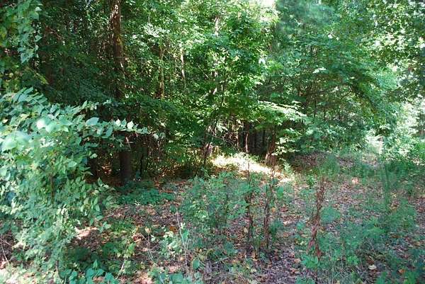 0.36 Acres of Residential Land for Sale in Bella Vista, Arkansas