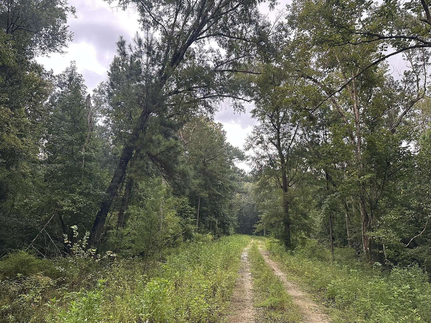 0.5 Acres of Residential Land for Sale in Wewahitchka, Florida