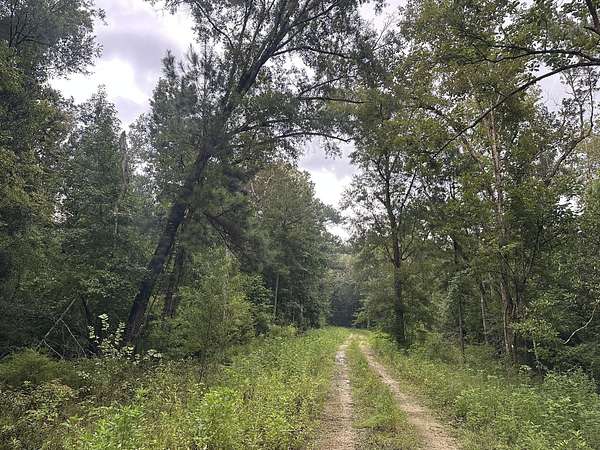 0.5 Acres of Residential Land for Sale in Wewahitchka, Florida