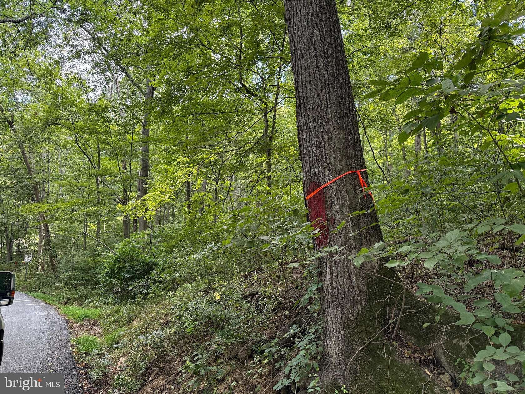 47.2 Acres of Recreational Land for Sale in Berkeley Springs, West Virginia