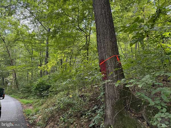 47.2 Acres of Recreational Land for Sale in Berkeley Springs, West Virginia