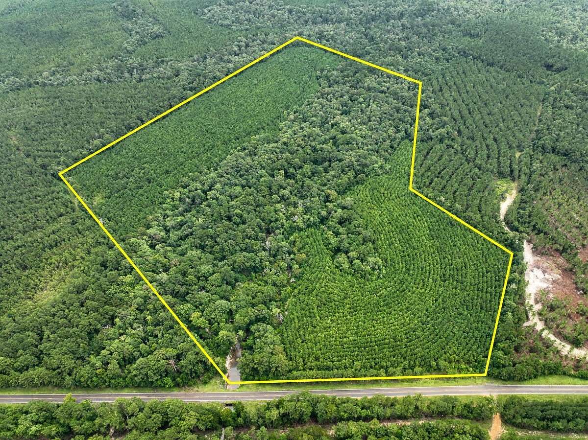 73 Acres of Recreational Land for Sale in Newton, Texas
