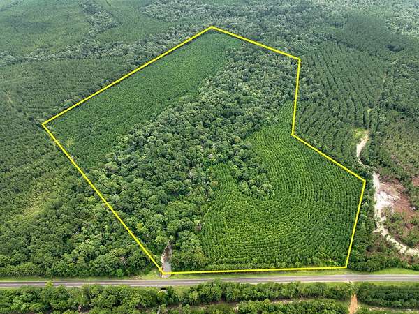 73 Acres of Recreational Land for Sale in Newton, Texas