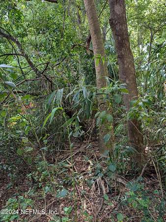 1.34 Acres of Commercial Land for Sale in Jacksonville, Florida