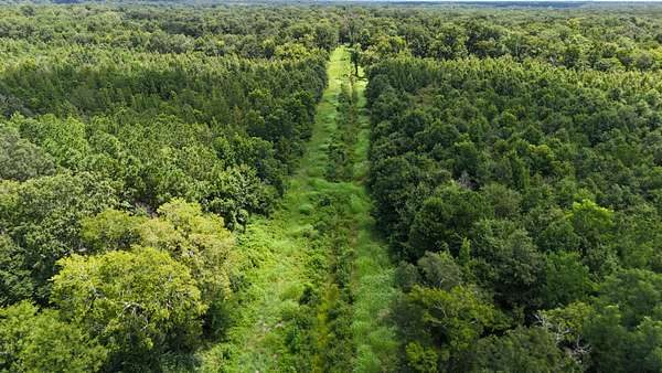 152 Acres of Recreational Land & Farm for Sale in Leonville, Louisiana