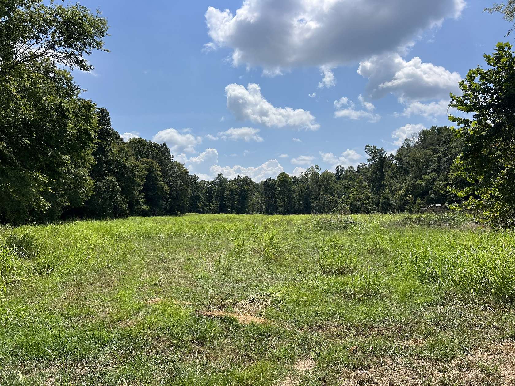 12 Acres of Land for Sale in Cumberland Furnace, Tennessee