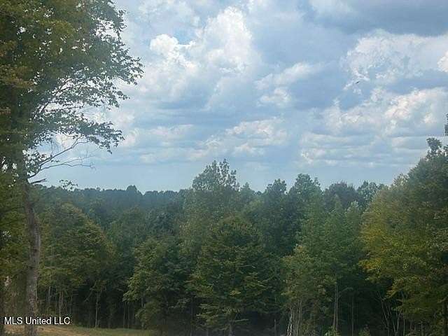 13 Acres of Land for Sale in Ripley, Mississippi