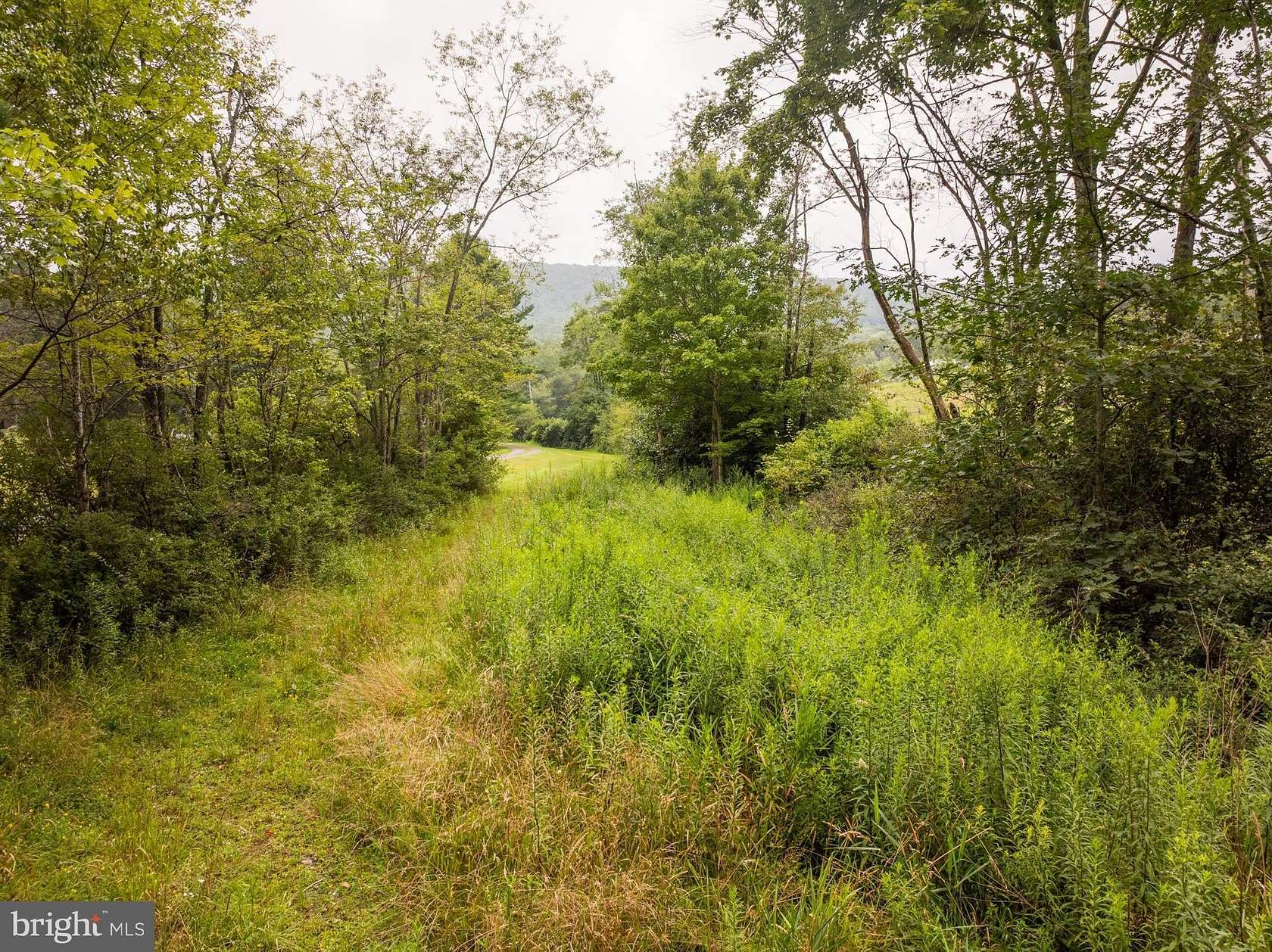 7.6 Acres of Land for Sale in Swanton, Maryland