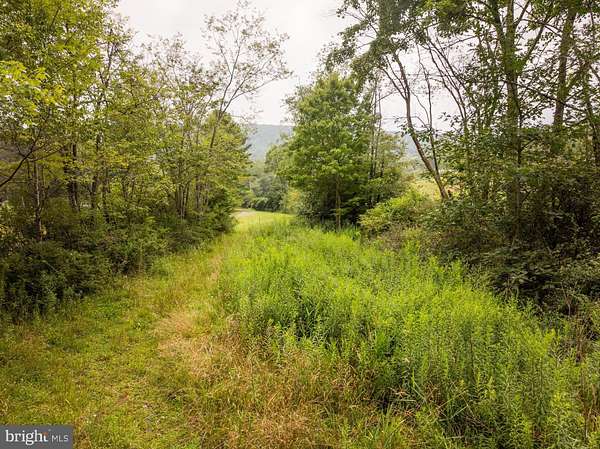 7.6 Acres of Land for Sale in Swanton, Maryland