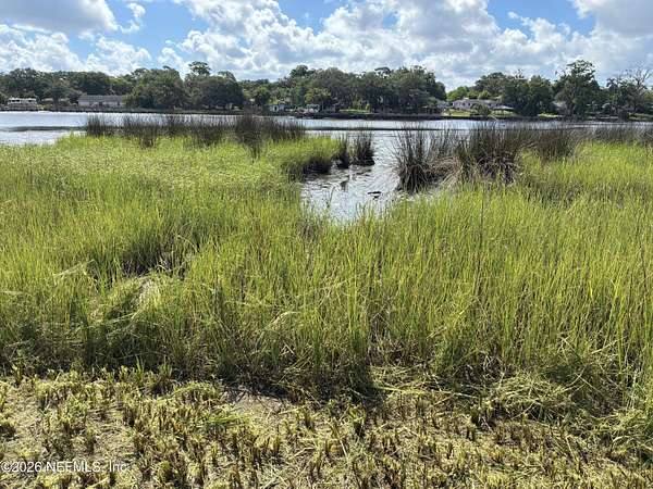 0.46 Acres of Residential Land for Sale in Jacksonville, Florida