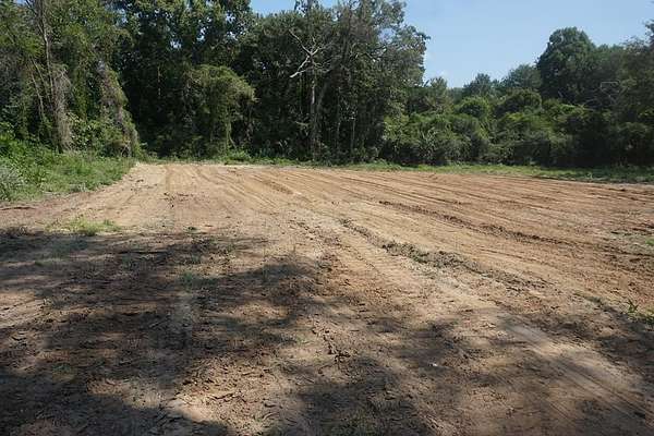 5 Acres of Recreational Land for Sale in Palestine, Texas