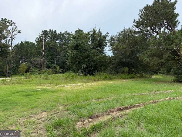 17.9 Acres of Land for Sale in Brooks, Georgia