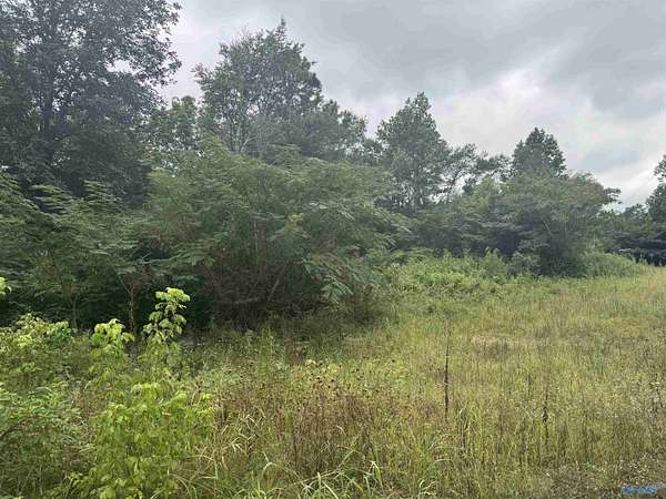 3.9 Acres of Residential Land for Sale in Horton, Alabama
