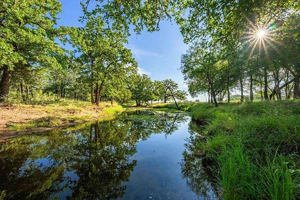 46.4 Acres of Land for Sale in Stonewall, Texas