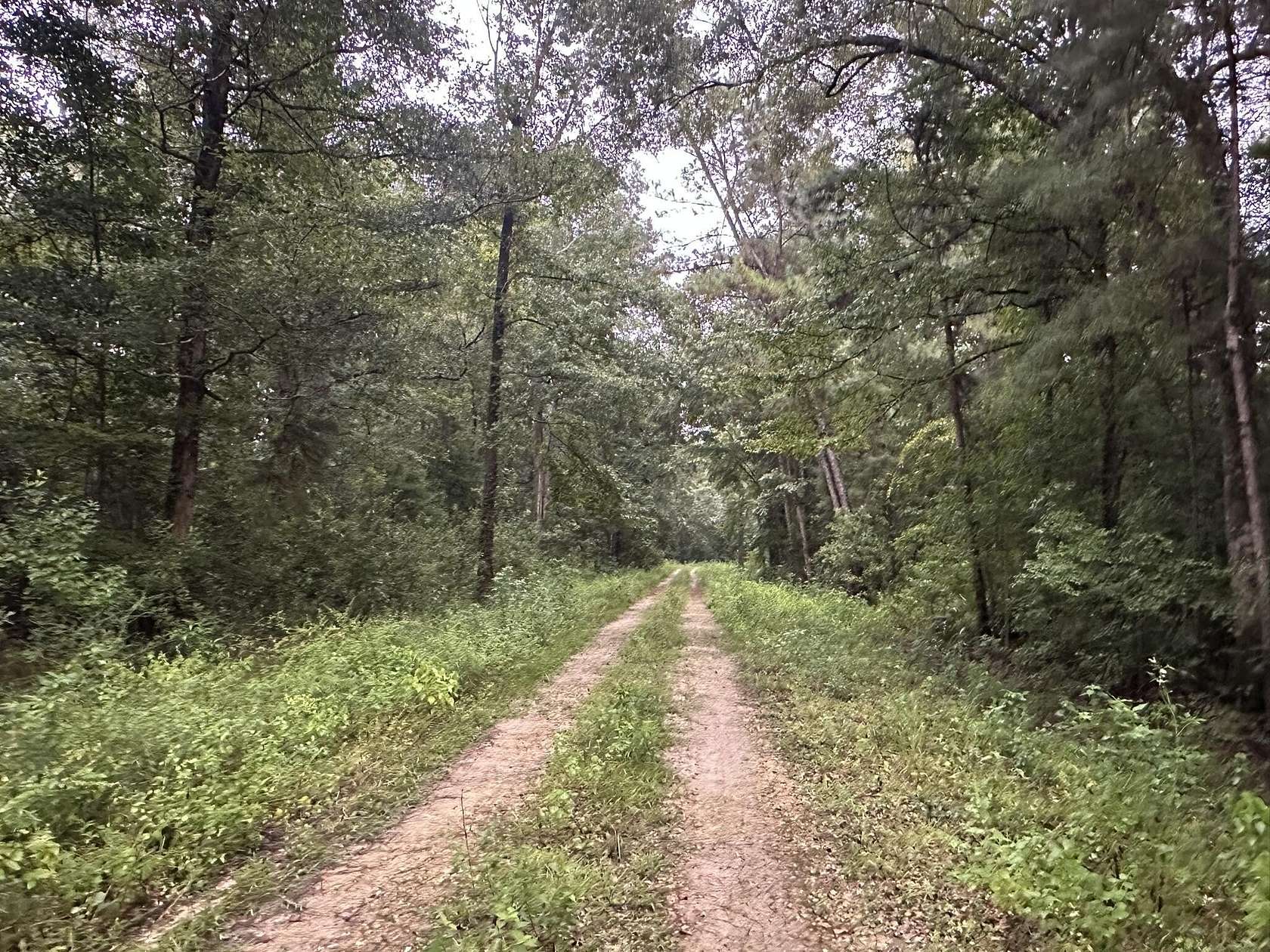 0.51 Acres of Residential Land for Sale in Wewahitchka, Florida