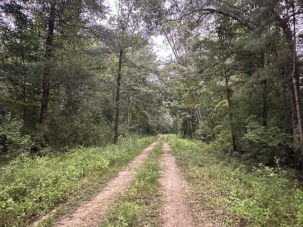 0.51 Acres of Residential Land for Sale in Wewahitchka, Florida