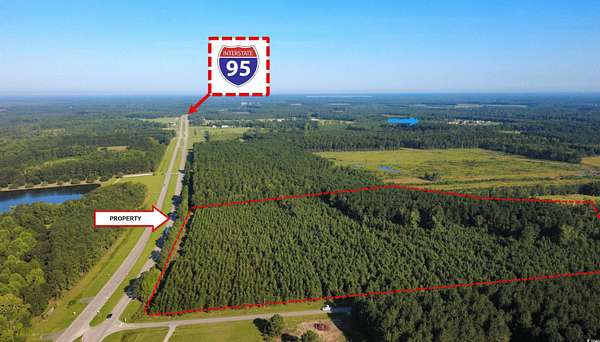 35.8 Acres of Land for Sale in Sellers, South Carolina