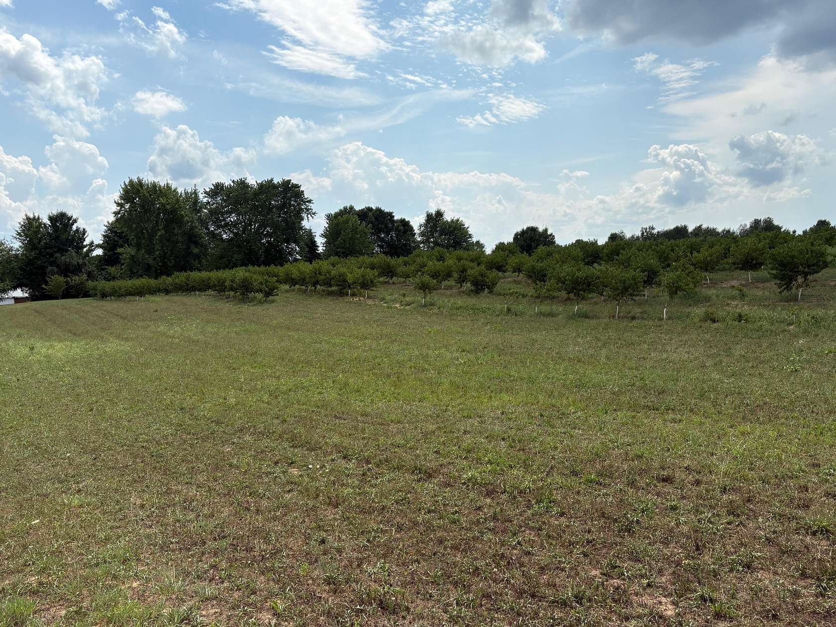 5 Acres of Land for Sale in Watervliet, Michigan