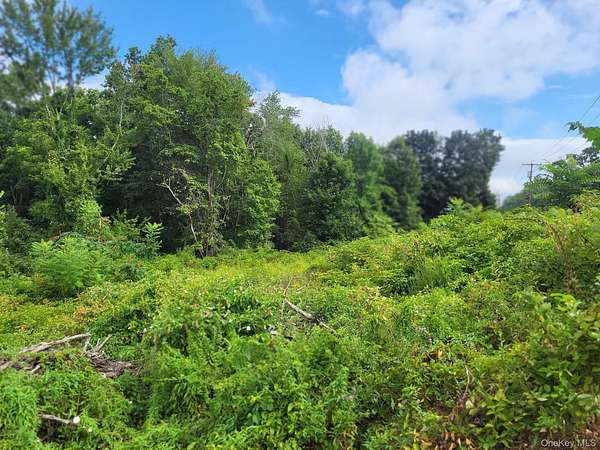 1.2 Acres of Mixed-Use Land for Sale in Wallkill, New York