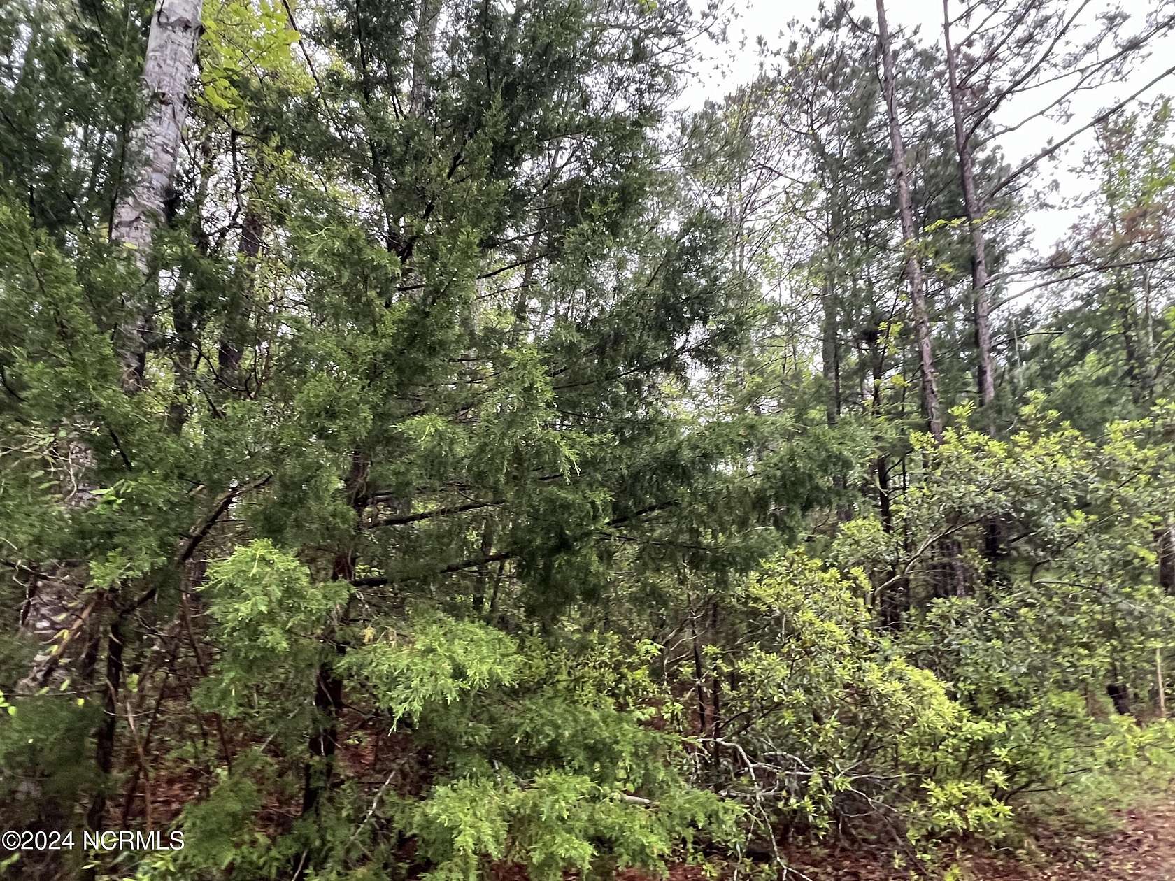 0.17 Acres of Residential Land for Sale in Supply, North Carolina