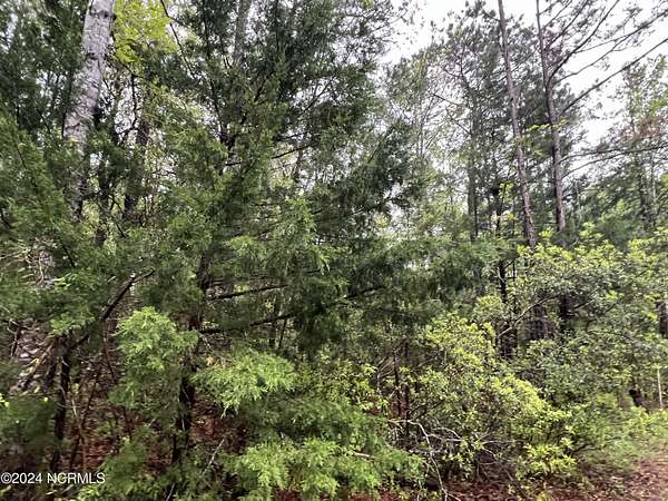 0.17 Acres of Residential Land for Sale in Supply, North Carolina