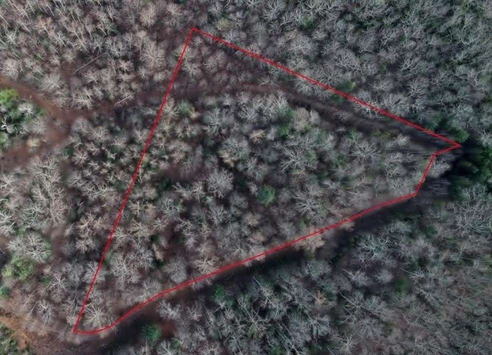 3.88 Acres of Residential Land for Sale in Blairsville, Georgia