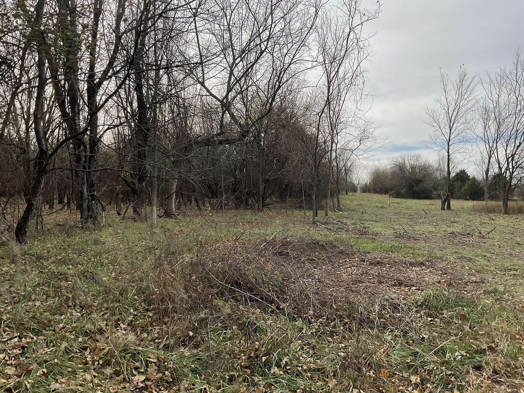 10 Acres of Recreational Land for Sale in Bois D'Arc, Missouri