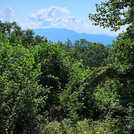 4.4 Acres of Land for Sale in Bryson City, North Carolina