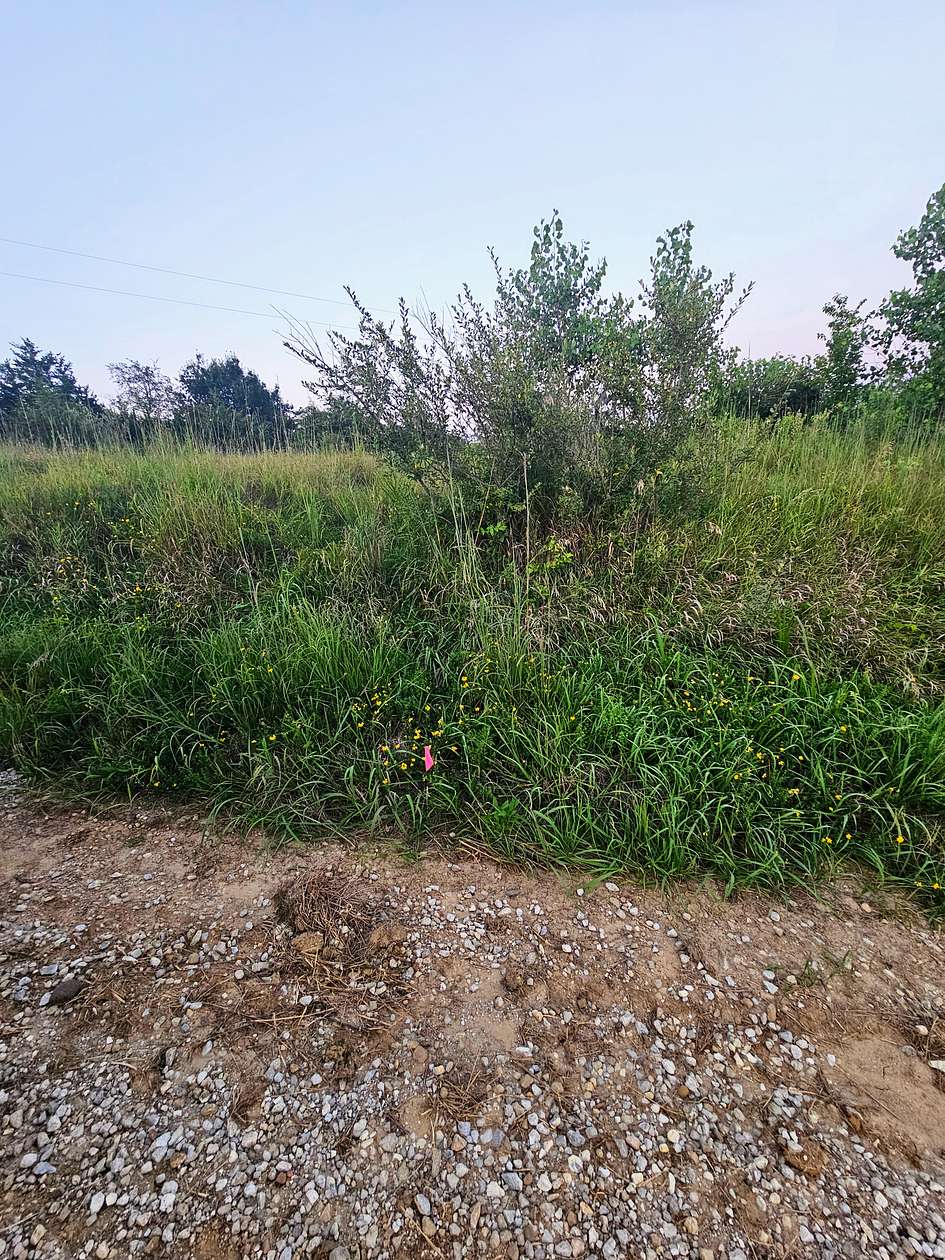 20 Acres of Recreational Land & Farm for Sale in Unionville, Missouri