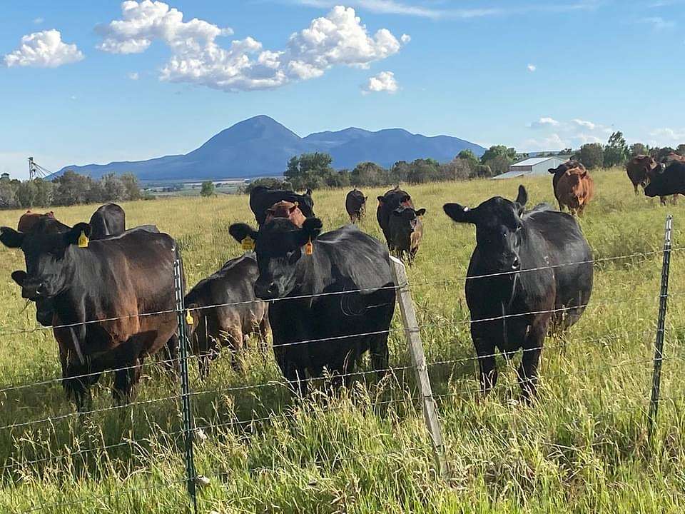 35 Acres of Improved Land for Sale in Lewis, Colorado