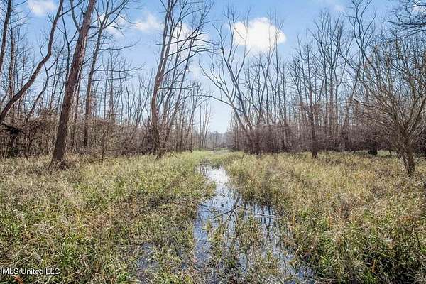 242 Acres of Recreational Land & Farm for Sale in Lorman, Mississippi