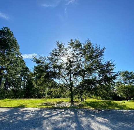 0.99 Acres of Residential Land for Sale in Swainsboro, Georgia