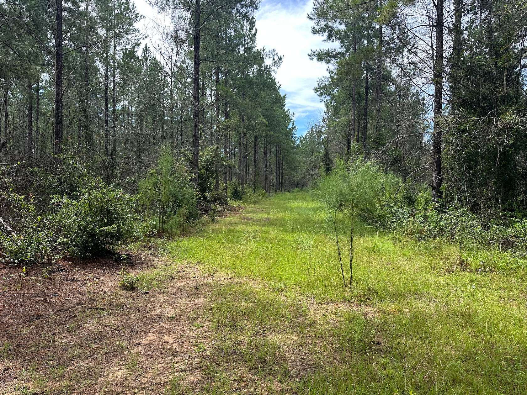 39 Acres of Land for Sale in Cottonwood, Alabama