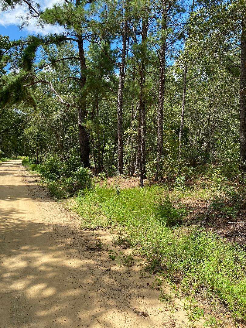 12 Acres of Land for Sale in Garfield, Georgia