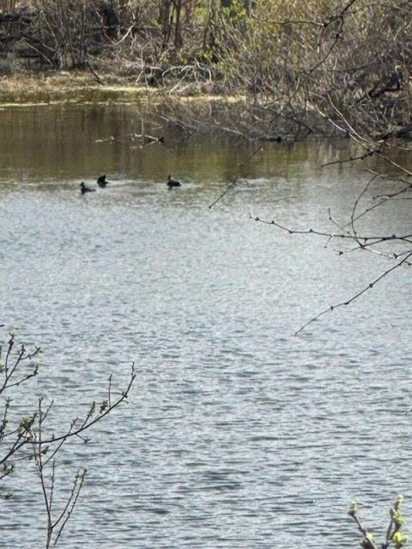 0.28 Acres of Residential Land for Sale in Horseshoe Bay, Texas