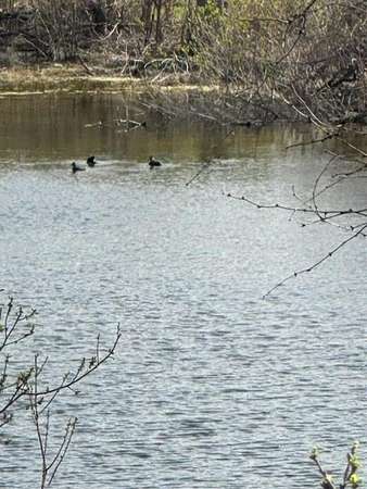 0.28 Acres of Residential Land for Sale in Horseshoe Bay, Texas