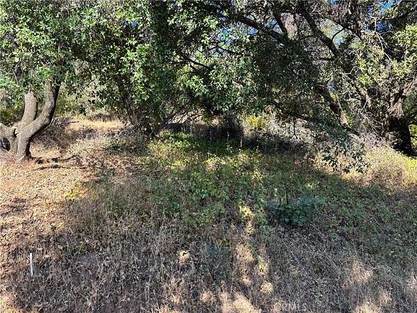 0.13 Acres of Residential Land for Sale in Clearlake Oaks, California