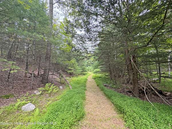 37 Acres of Agricultural Land for Sale in Woodstock, New York