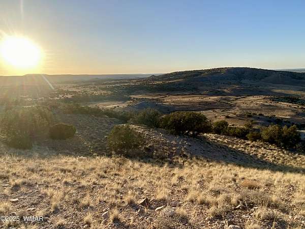 2.3 Acres of Residential Land for Sale in Concho, Arizona